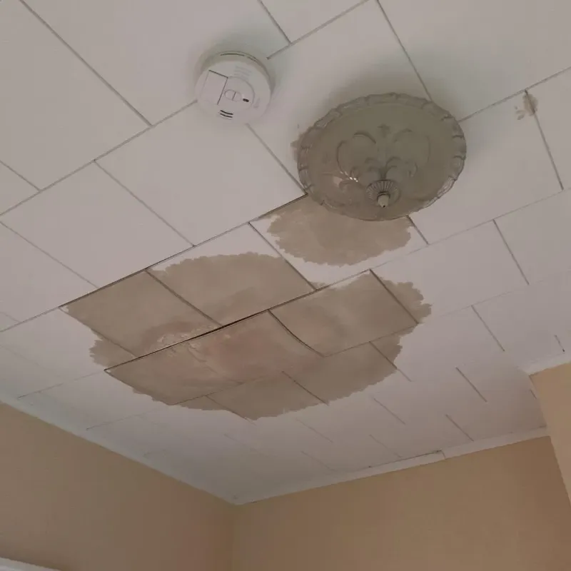 Ceiling Water Damage Repair in La Grange, KY