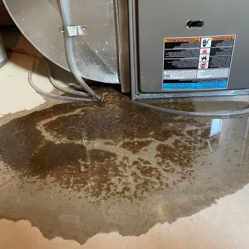 Pipe Burst and Leak Restoration in La Grange, KY
